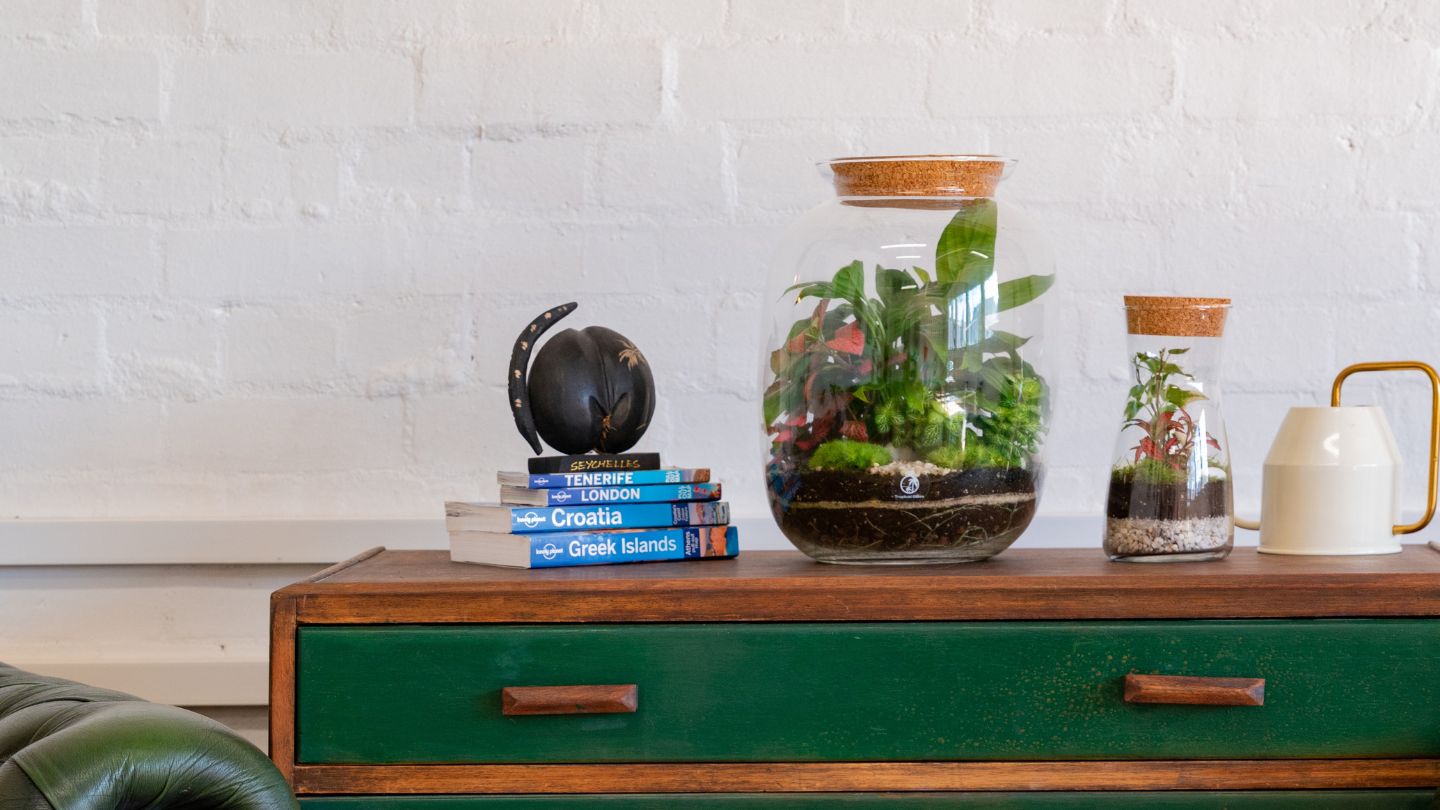 The Benefits of Having a Terrarium in Your Home or Office Tropical Glass