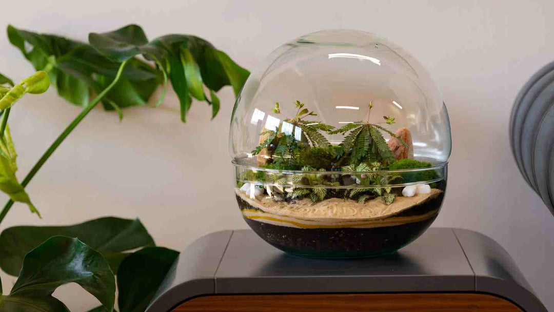 Mindful Gardening: The Mental Health Benefits of Crafting Your Own Terrarium