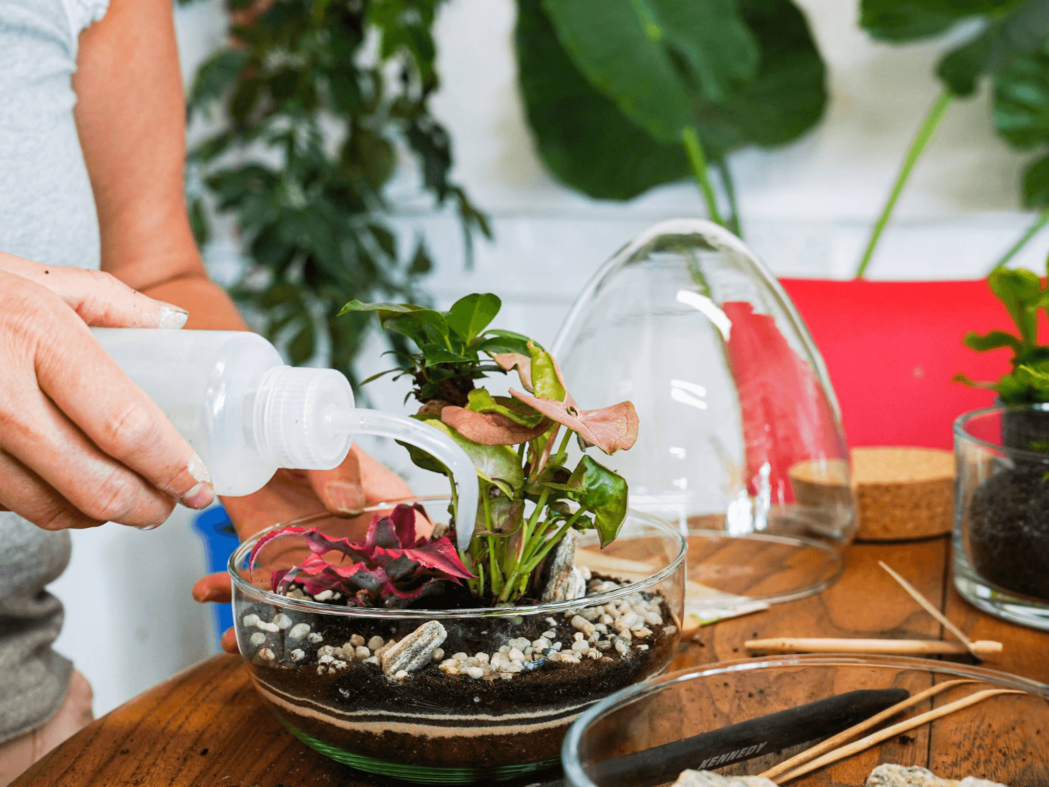 Terrarium workshops in London