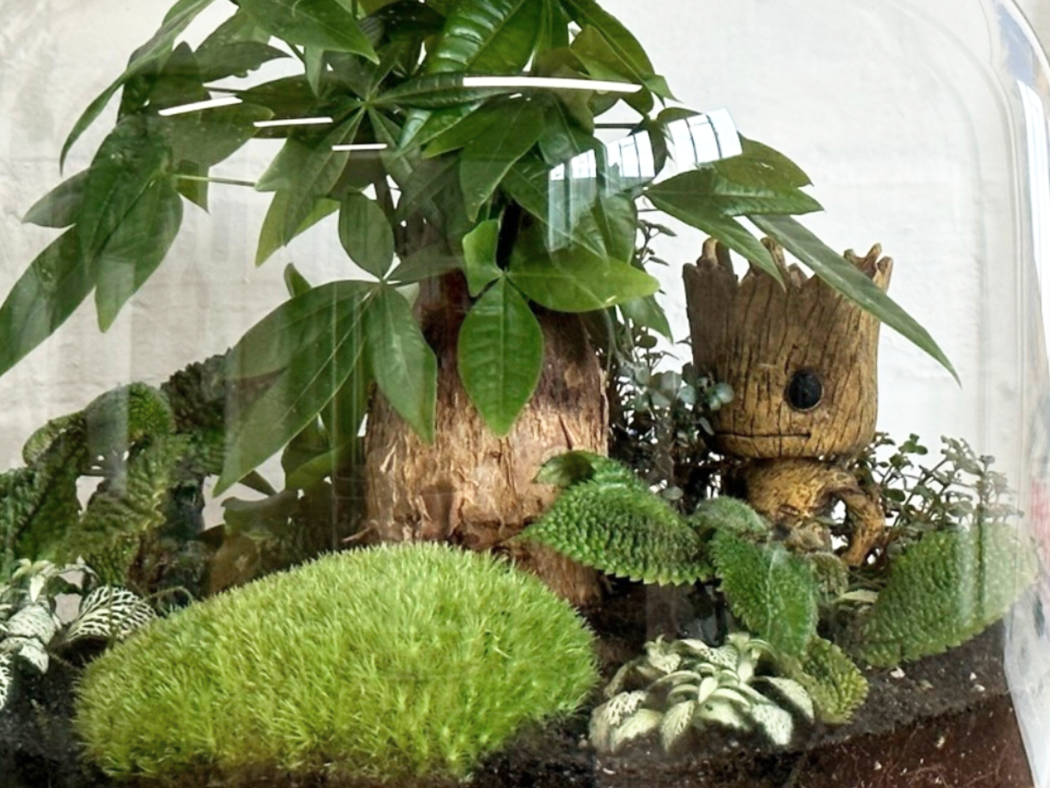 Terrarium Figures