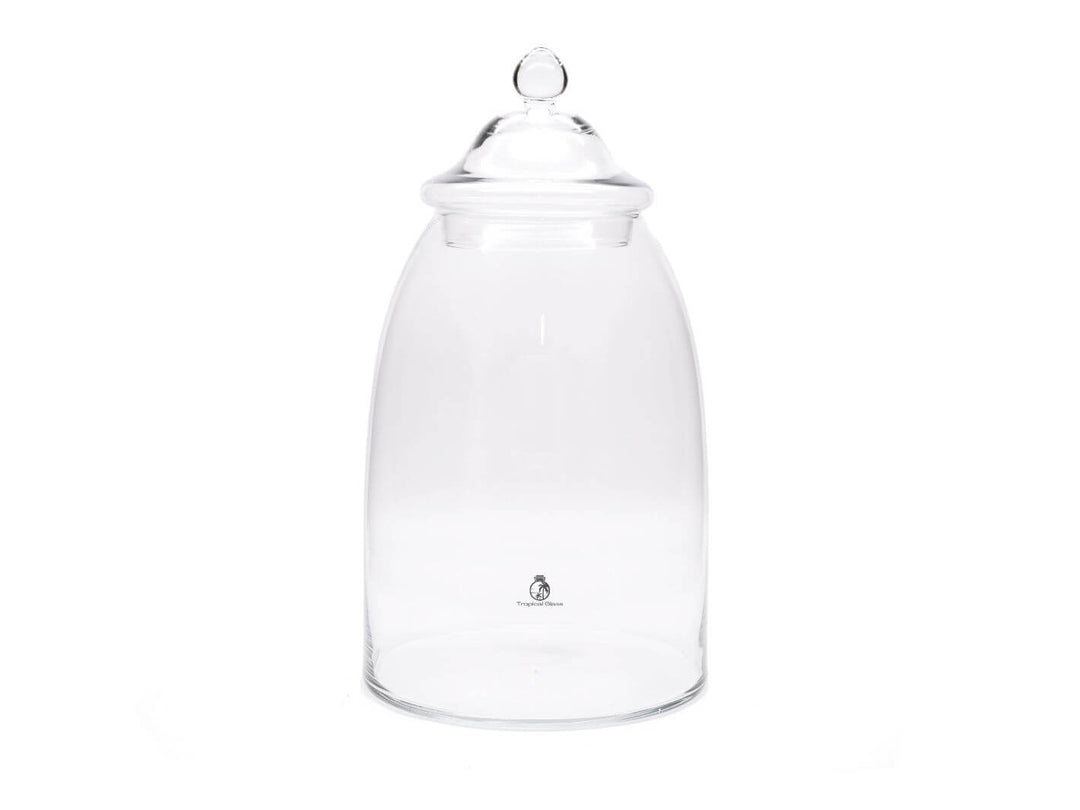 Large empty glass terrarium ready for plants