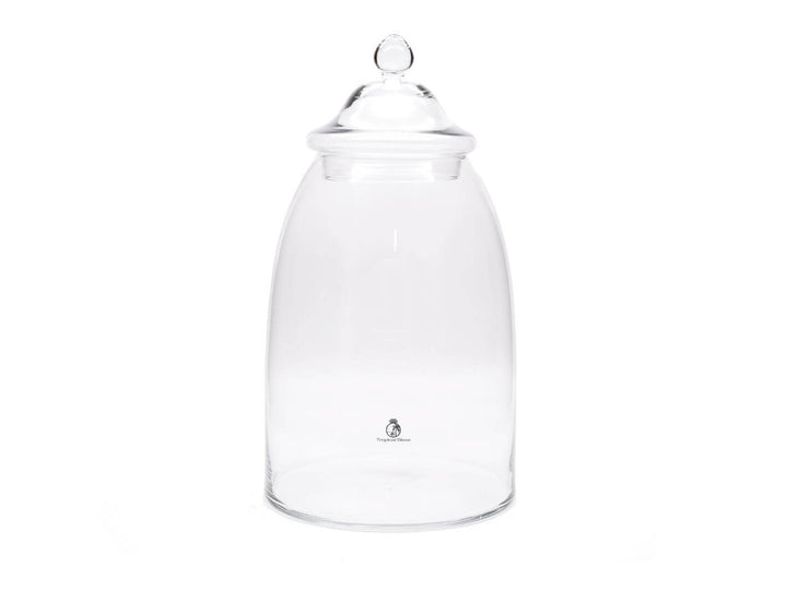 Large empty glass terrarium ready for plants