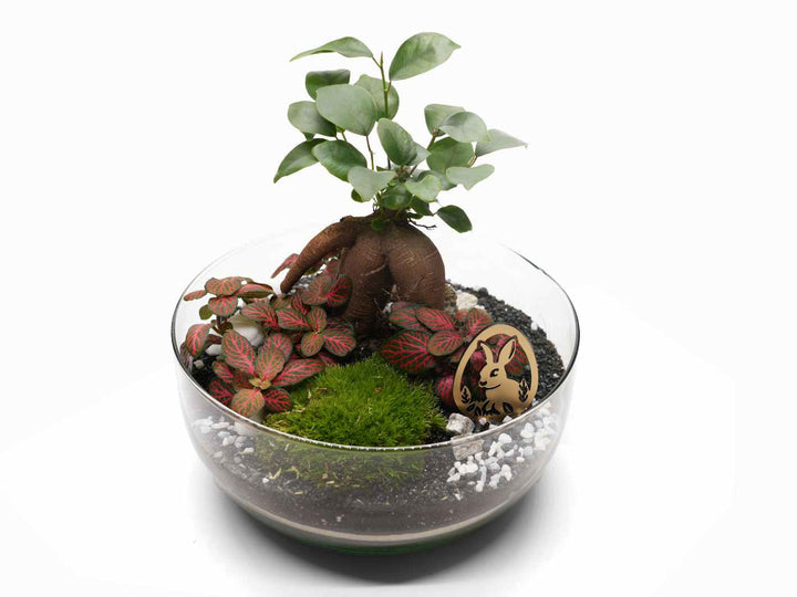 Easter Egg Terrarium Kit with Bunny Magic H: 26