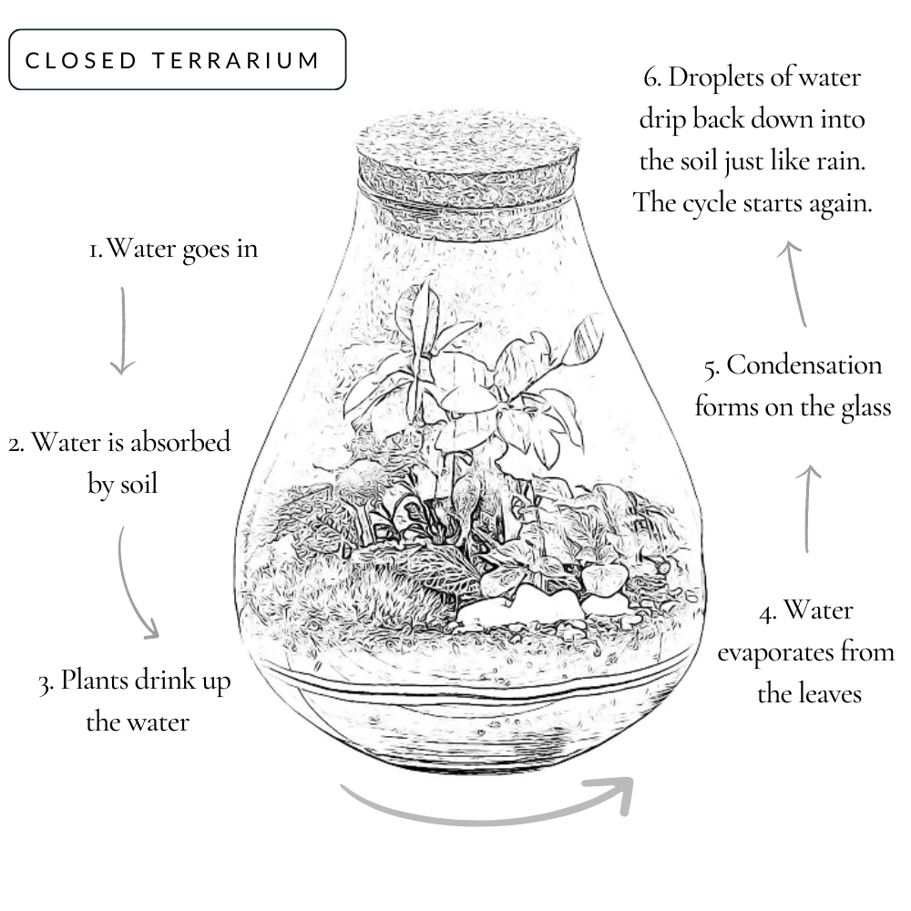 How terrarium works