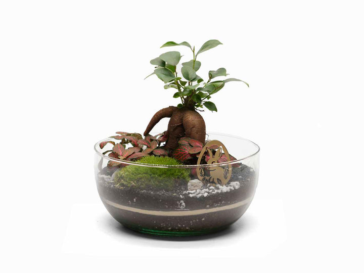 Easter Egg Terrarium Kit with Bunny Magic H: 26