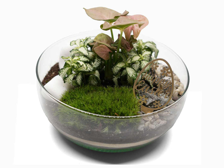Egg-citing Easter Terrarium Kit: Craft Your Own Kit H: 21 cm