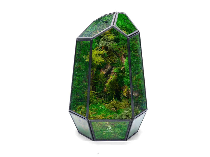 Geometric terrarium with preserved moss, a stylish and modern decor piece.