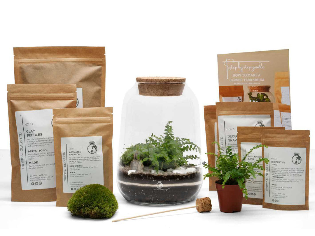 Light up terrarium kit as perfect gift for plant lovers