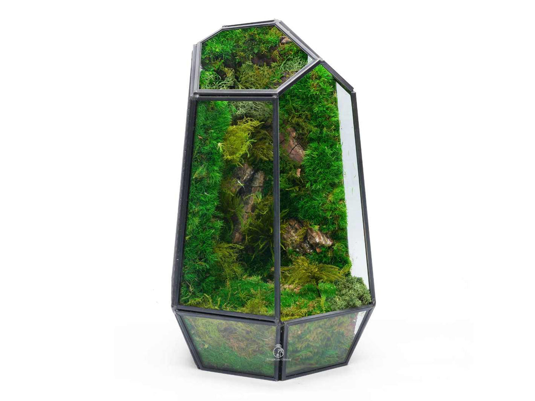 Prism Terrarium