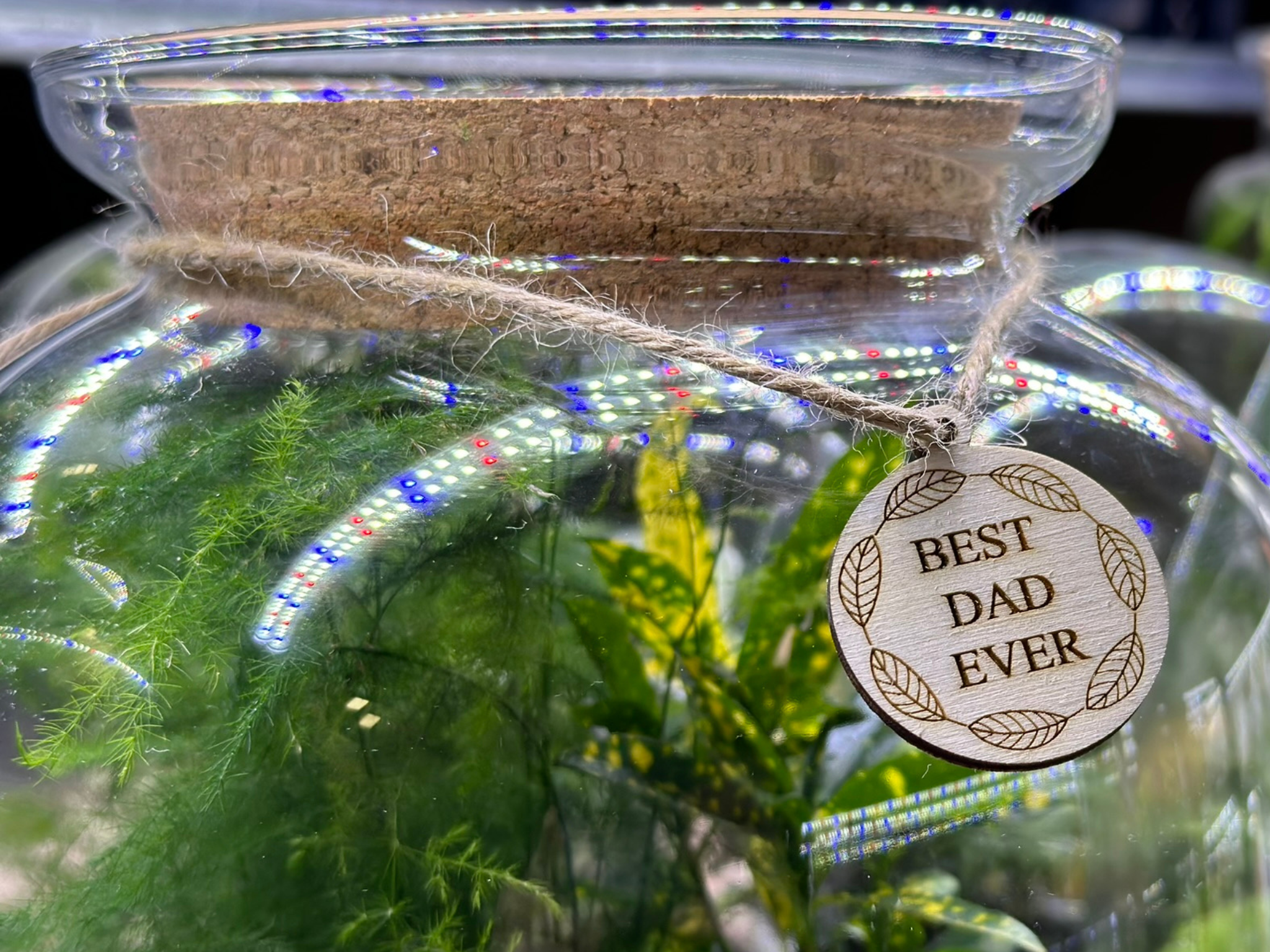Personalised Terrarium