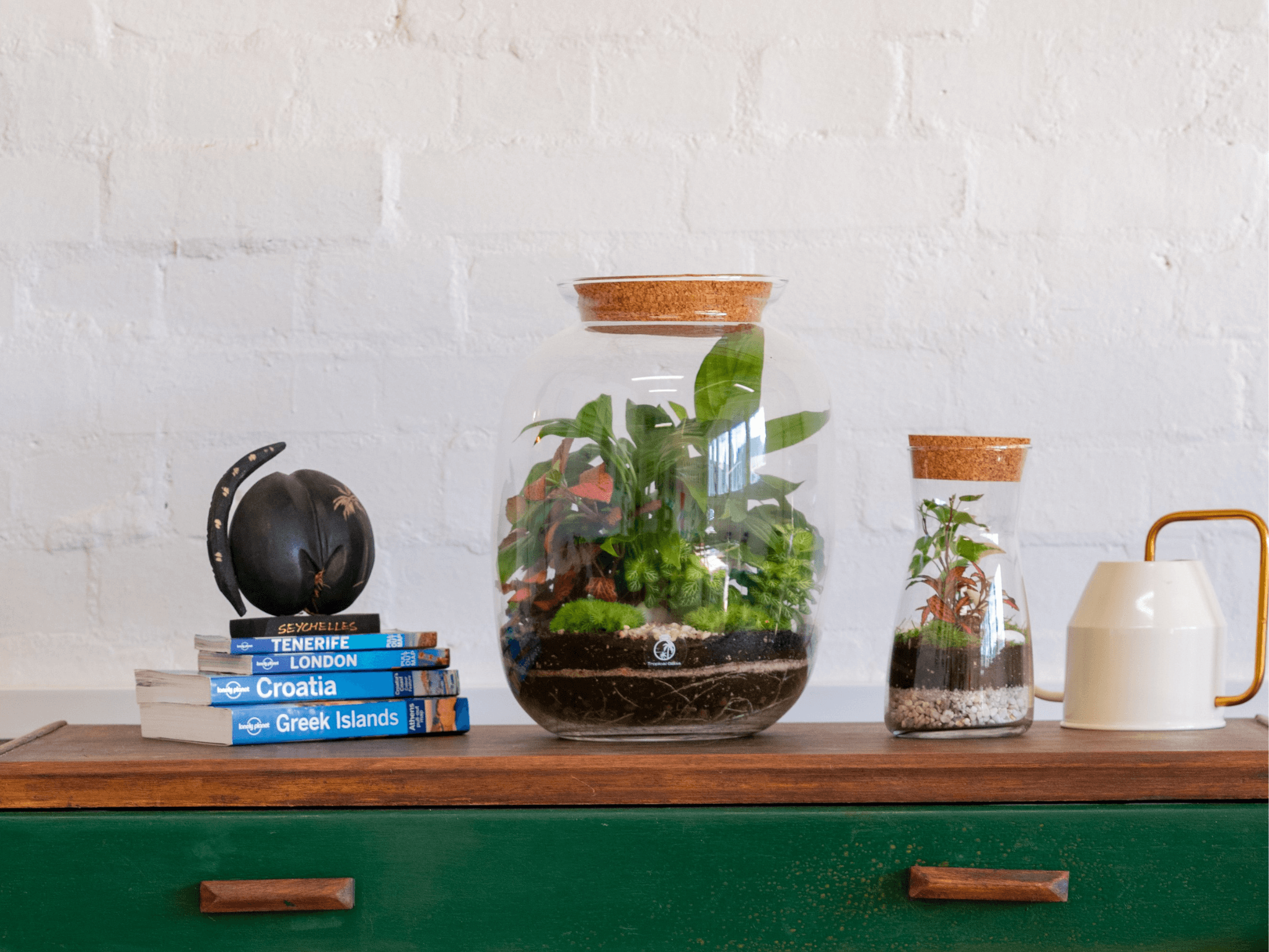Terrarium selection