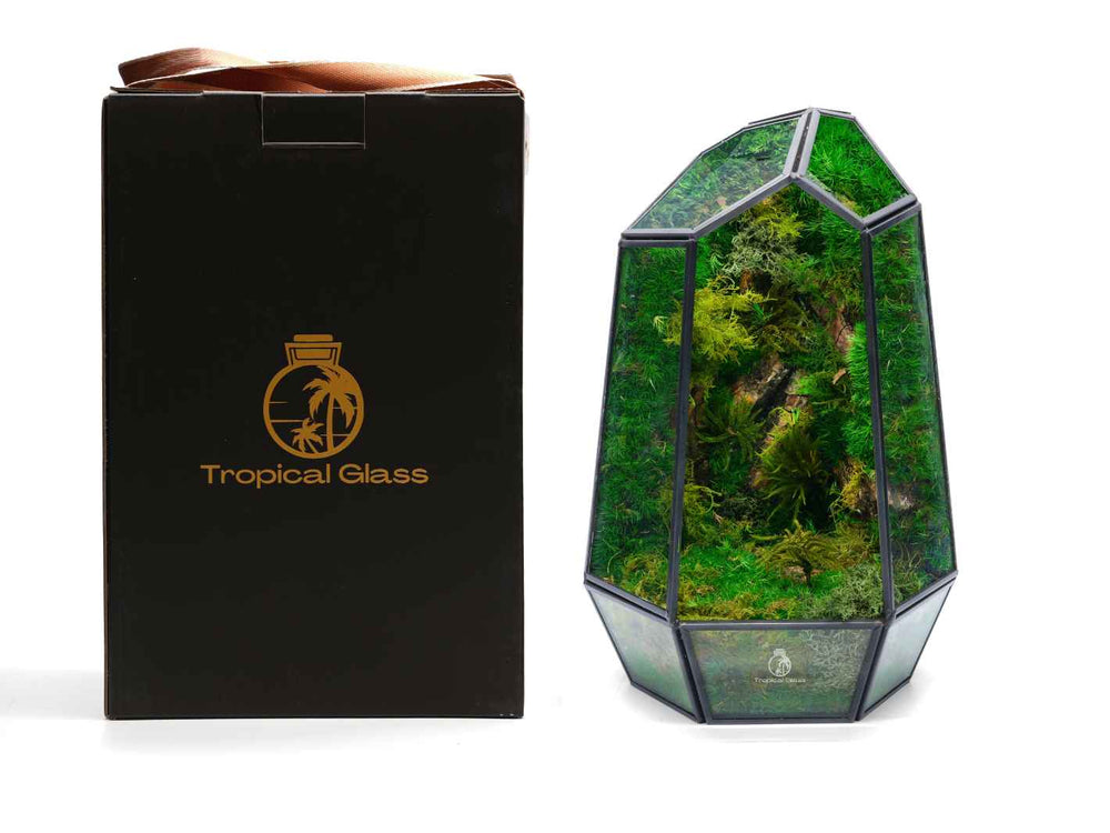 Elegant geometric terrarium featuring lush preserved moss for contemporary decor.