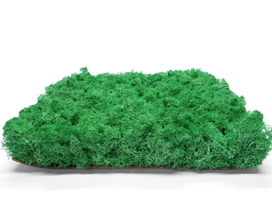 Moss panel, preserved and ready for stylish interior design