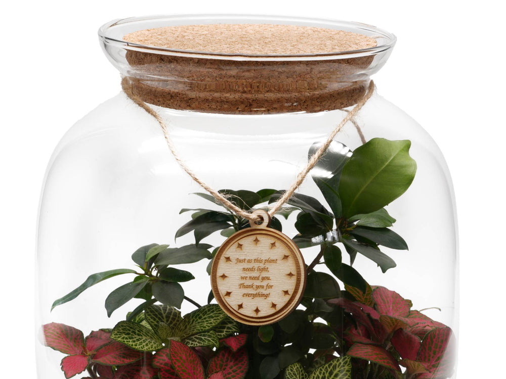 Personalised Terrarium