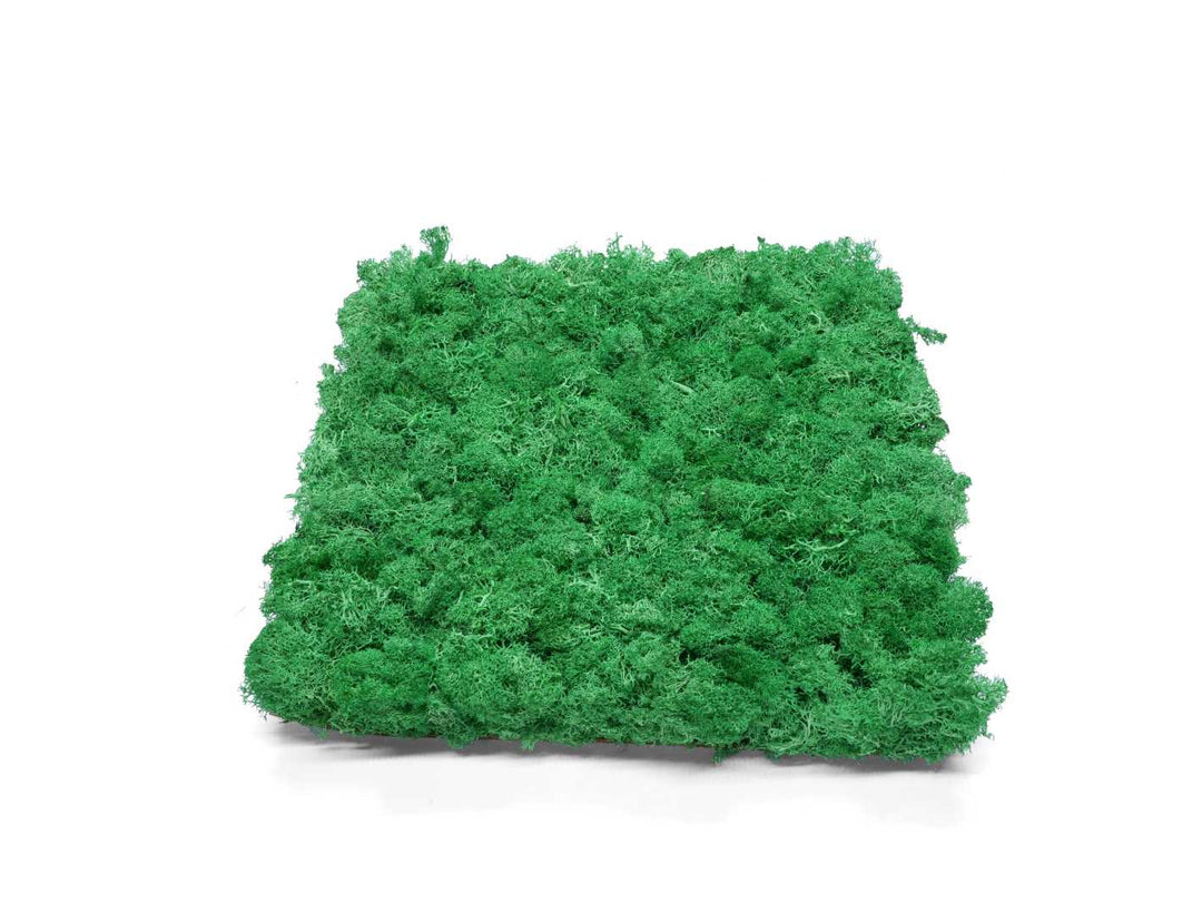 Preserved moss panel in green, 30x30 cm size, ideal for green walls.