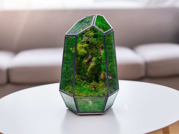 Modern geometric terrarium filled with preserved moss, ideal for gifting.