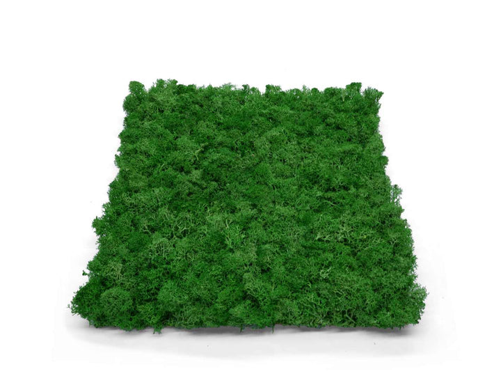 Square preserved moss panel in forest green, size 30x30 cm