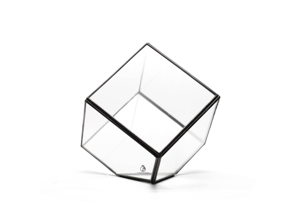 Geometric Terrarium Glass