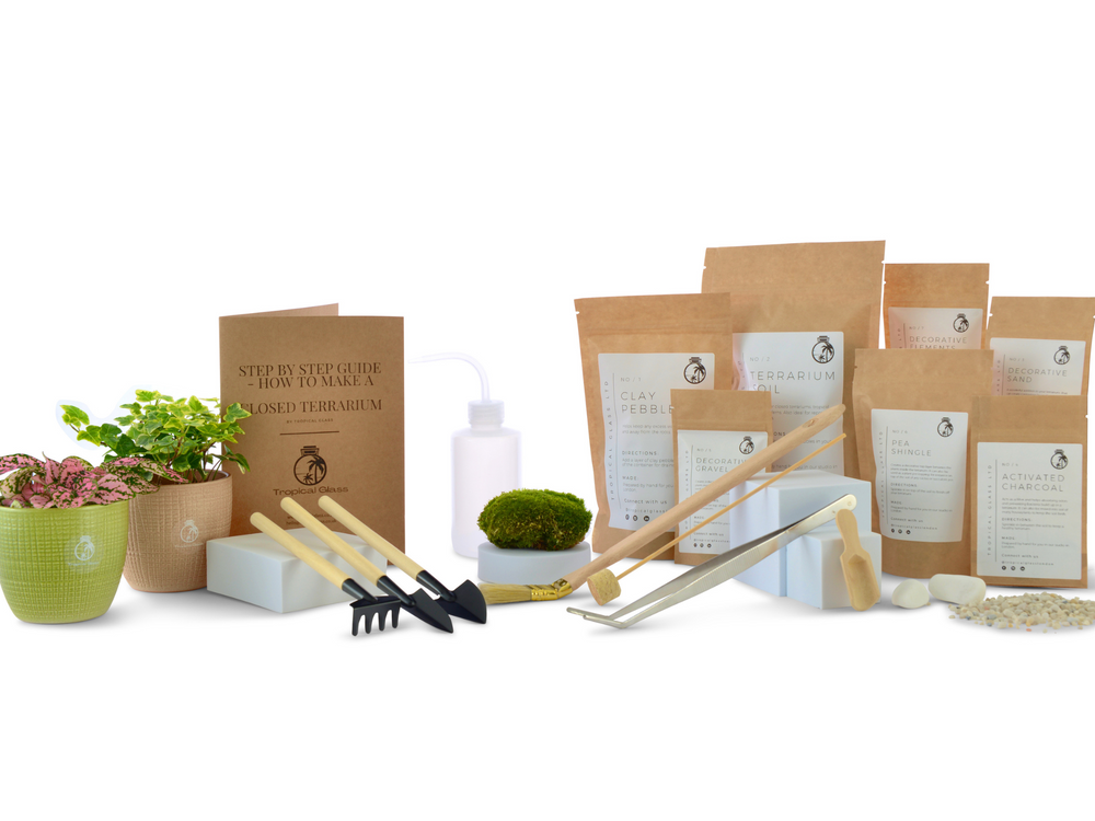 Terrarium Kit No Glass