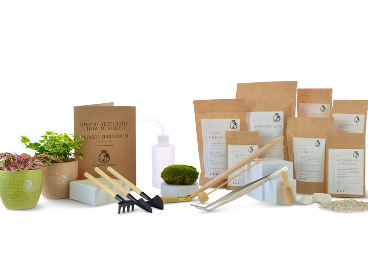 Terrarium Kit No Glass
