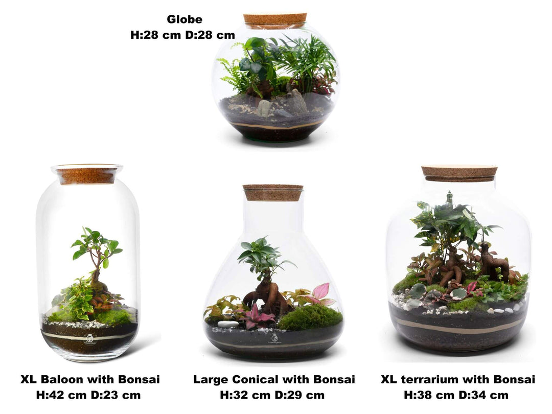 Terrarium class