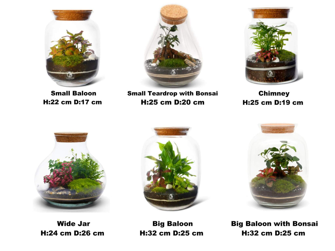 Terrarium Selection at the Class