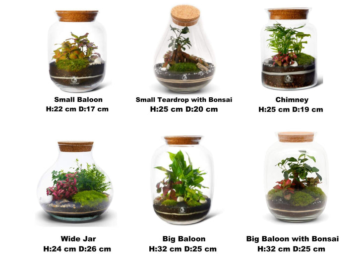 Terrarium Selection at the Class