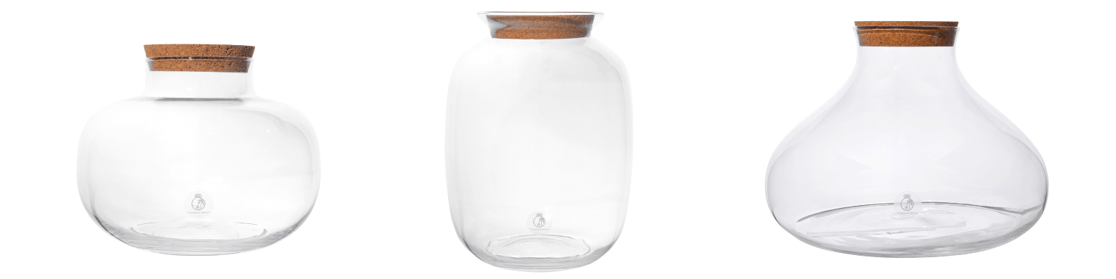 Range of Closed Terrarium Jars