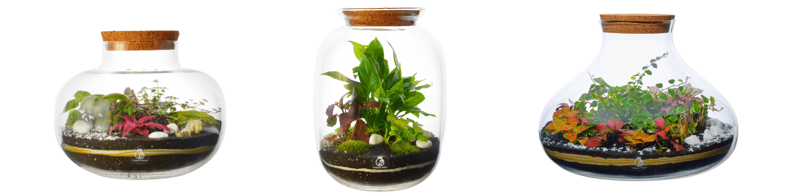 Range of Terrariums