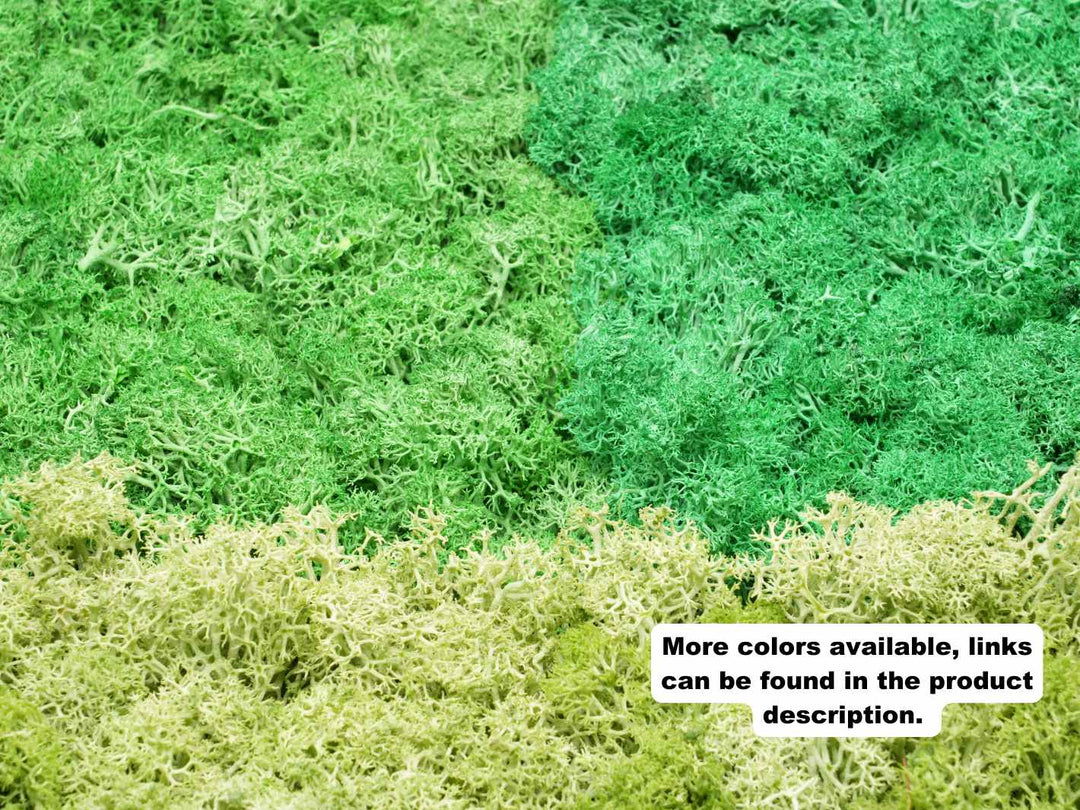 Various colors of preserved moss