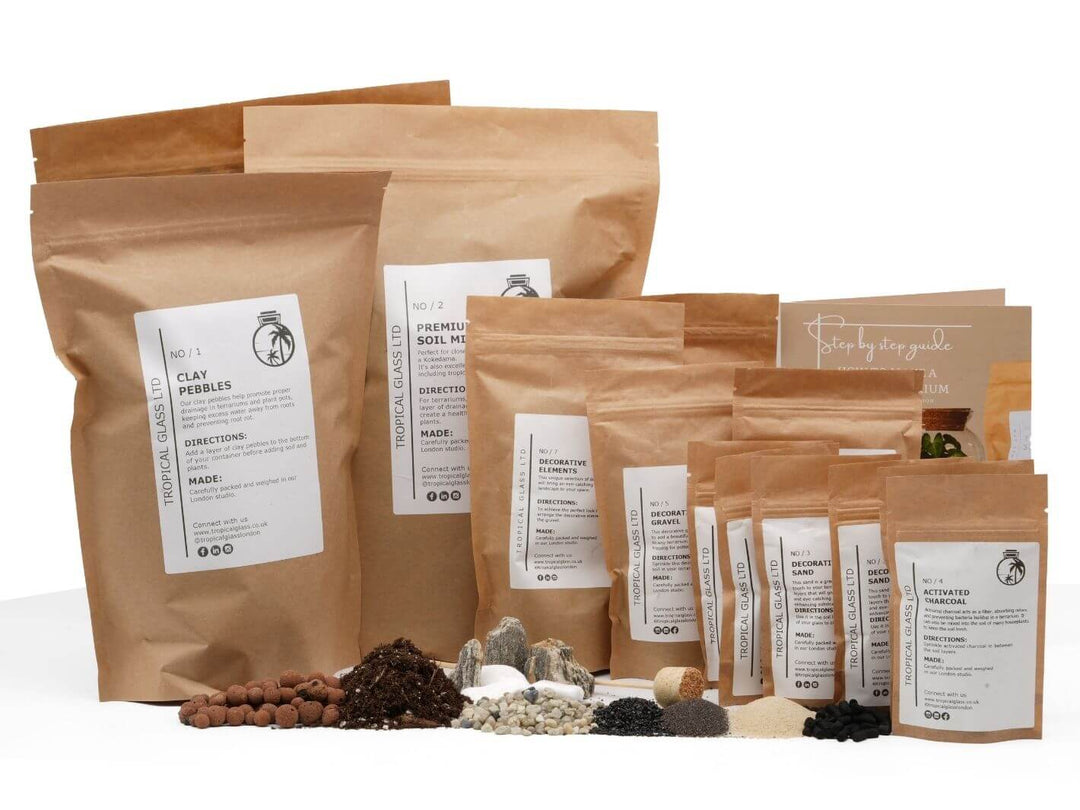 XL Terrarium Starter Kit