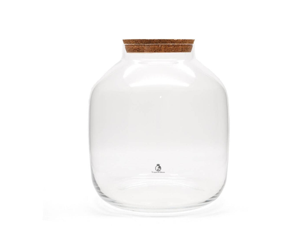 XL Terrarium Glass Container