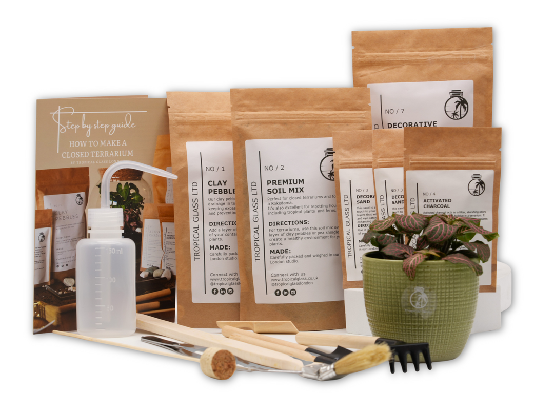 XS Terrarium Starter Kit