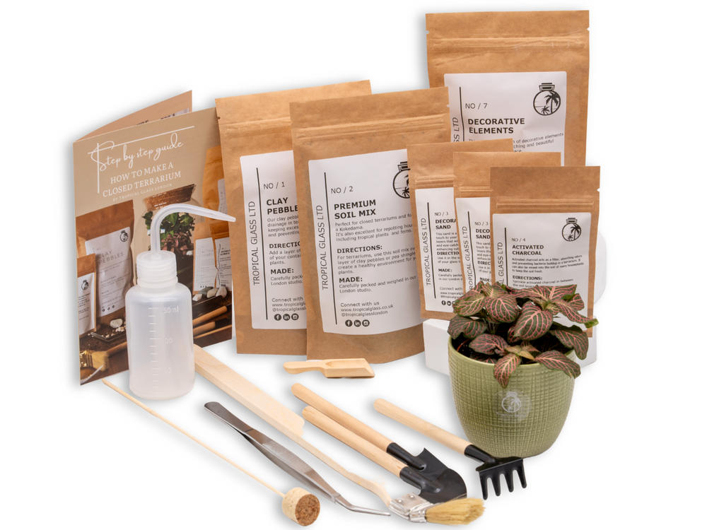 Small Terrarium Kit
