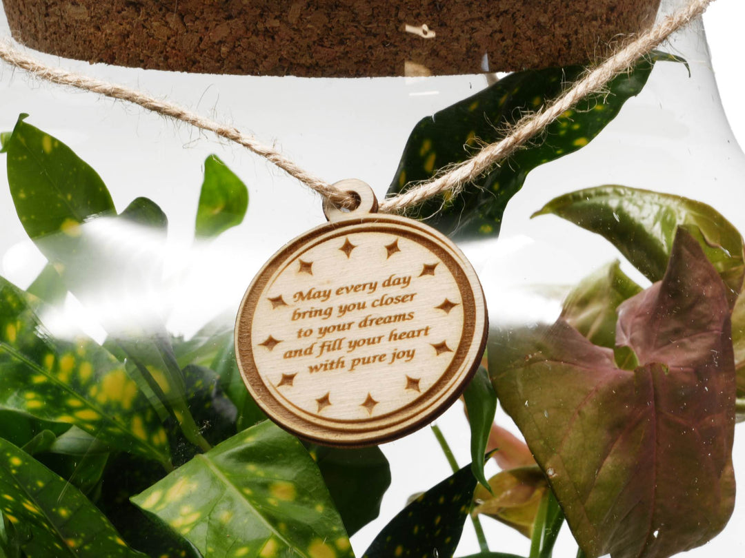 Terrarium personalisation