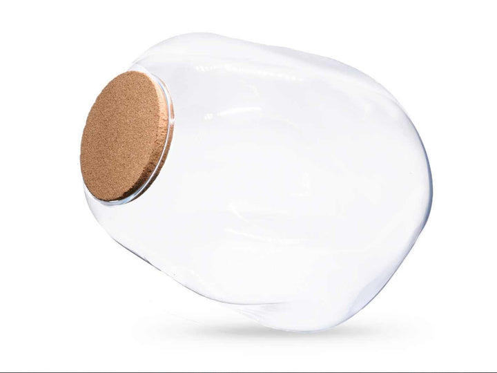 Hand-blown glass terrarium with natural cork lid, displaying organic blob-like shape