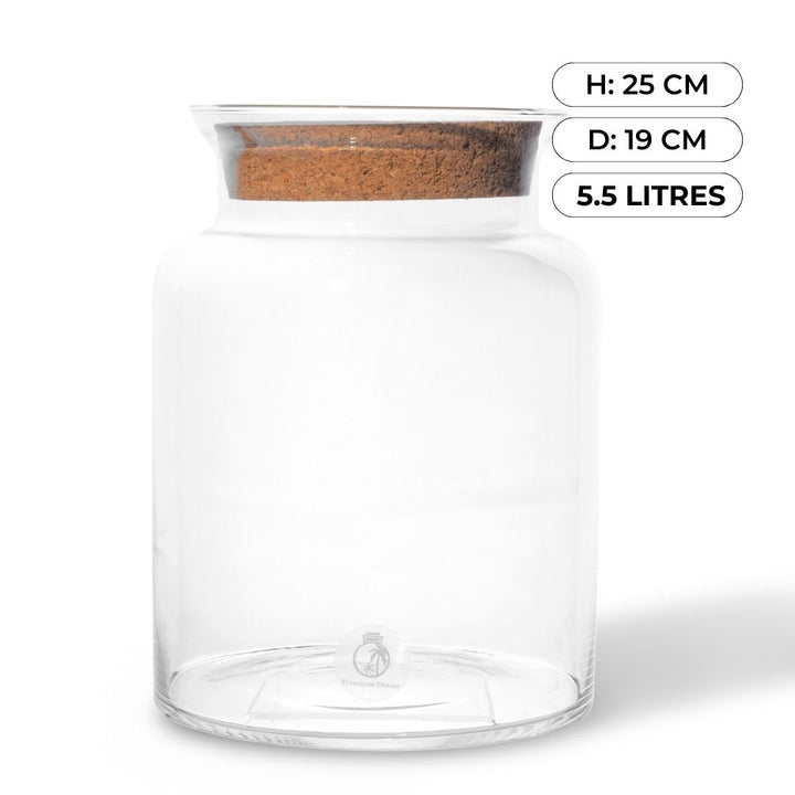 Glass Terrarium 25 cm with Cork Lid  | Handmade