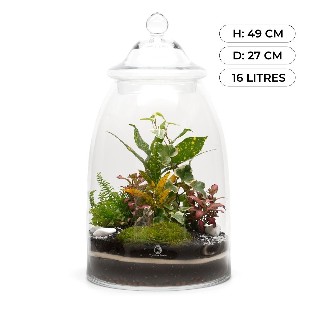 Extra Large Closed Terrarium Kit H: 49 cm | 'Washington'