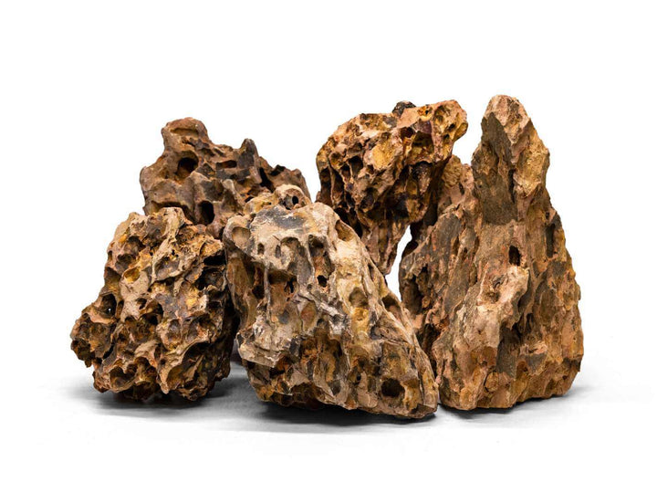 dragon stone for terrariums