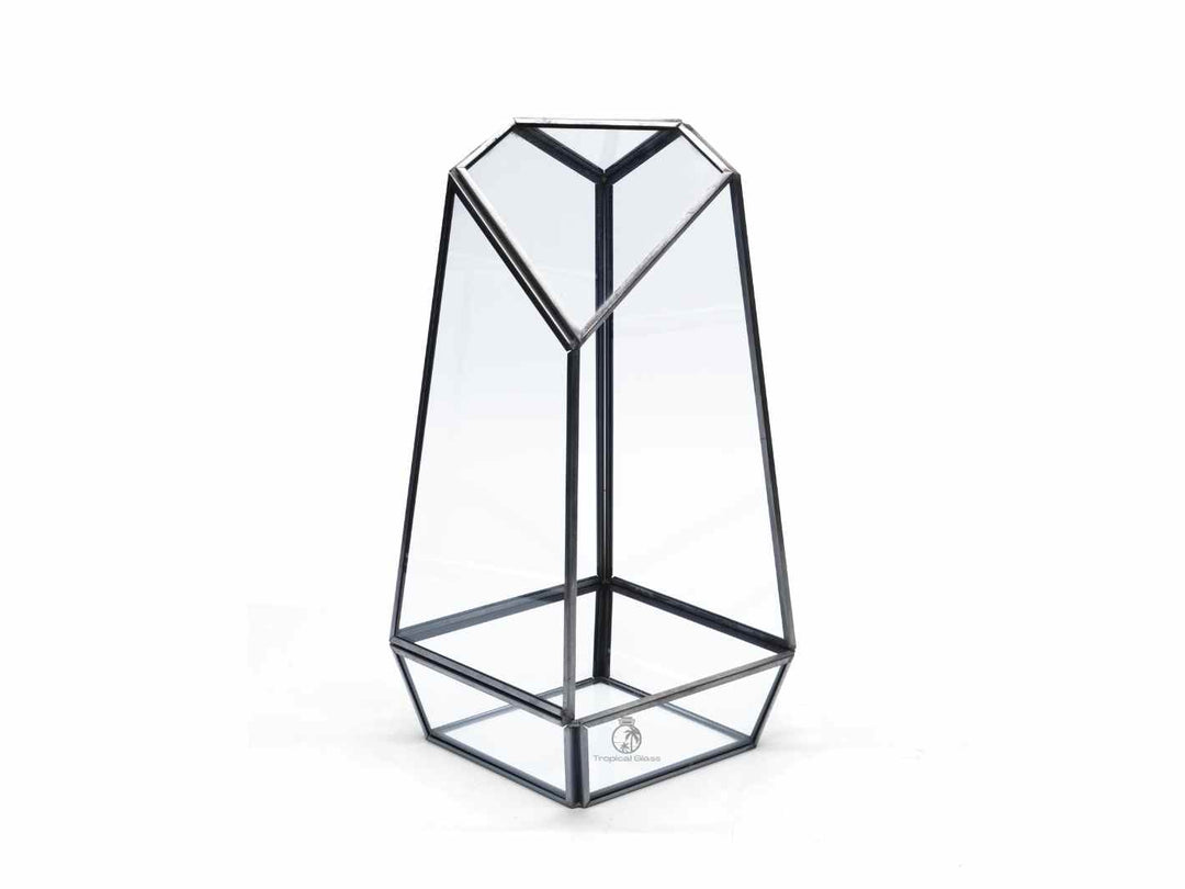 Geometric open glass container for versatile plant or decor use.