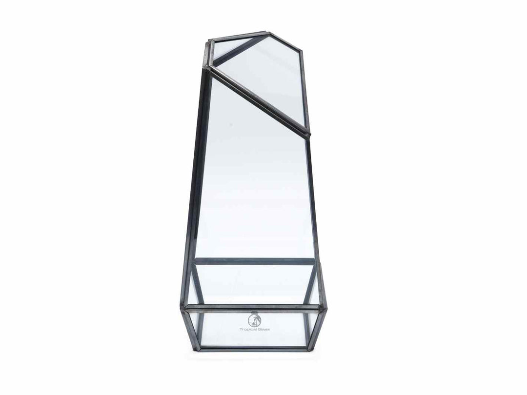 Modern geometric open glass container, ideal for creating terrariums.