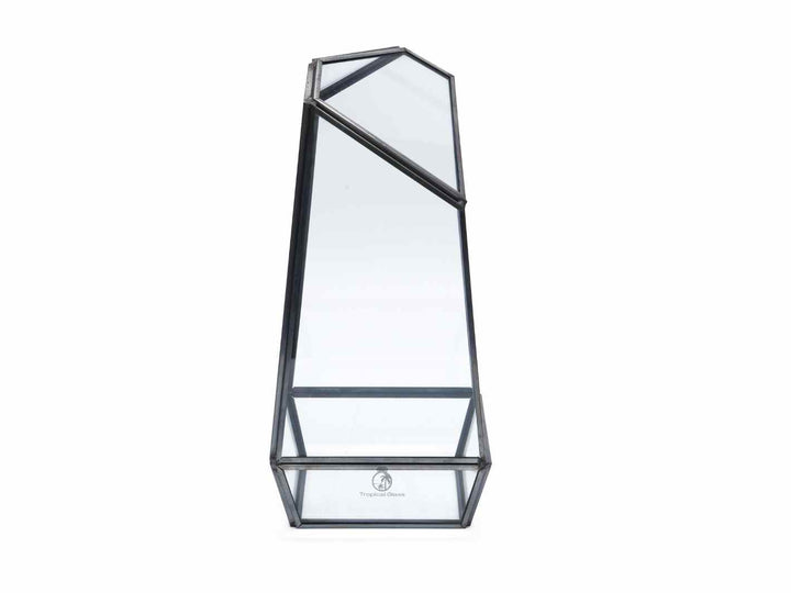Modern geometric open glass container, ideal for creating terrariums.