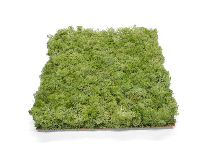Lime green preserved moss panel 30x30 cm, perfect for wall decor.