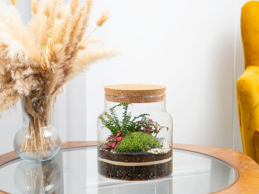 A stunning indoor planter with a handcrafted terrarium, perfect for home decor and plant enthusiasts looking for a touch of greenery.