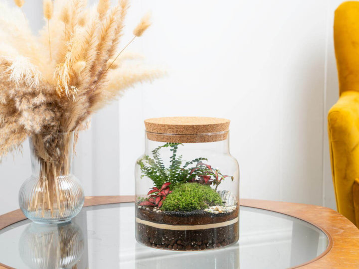 A stunning indoor planter with a handcrafted terrarium, perfect for home decor and plant enthusiasts looking for a touch of greenery.
