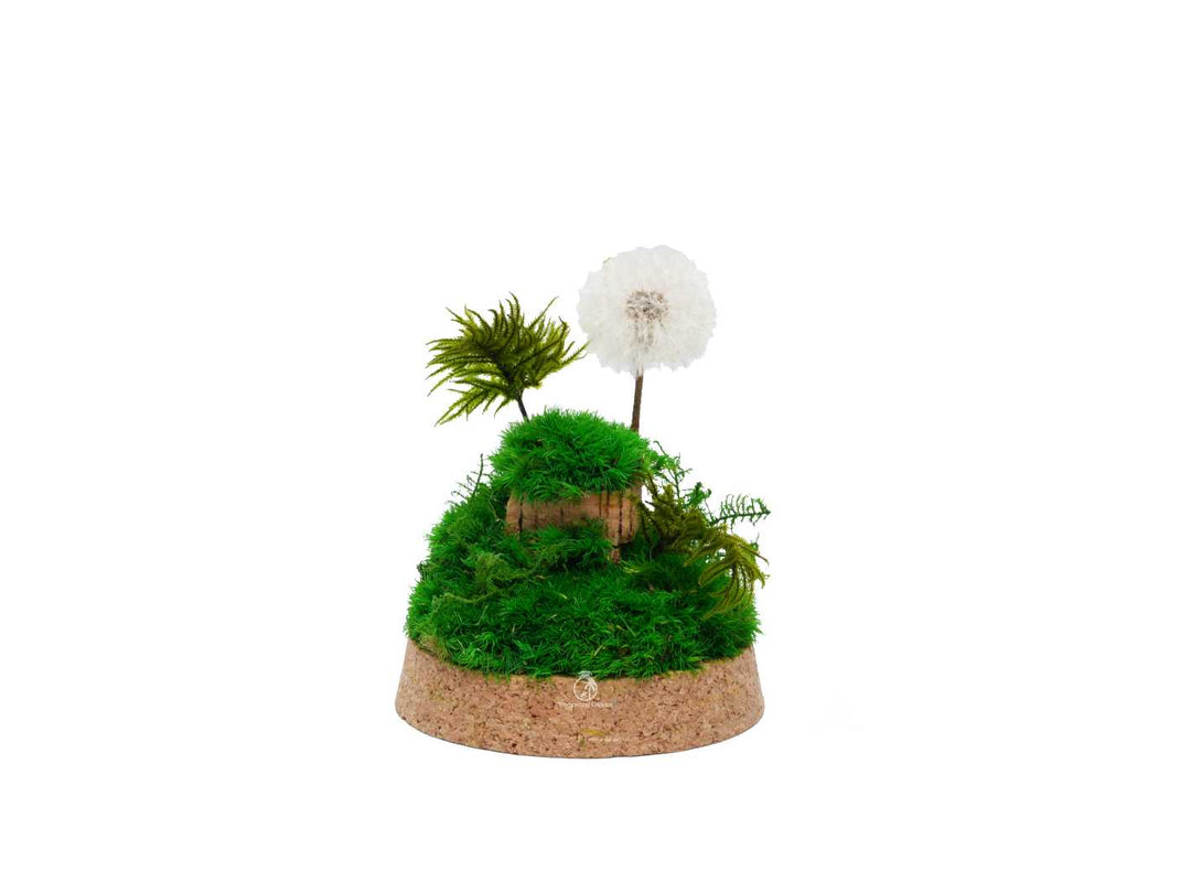 Maintenance-free terrarium with natural moss inside a cloche