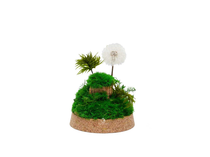 Maintenance-free terrarium with natural moss inside a cloche