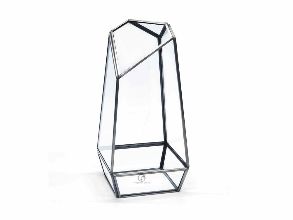 Open geometric glass container, perfect for terrariums or modern decor.