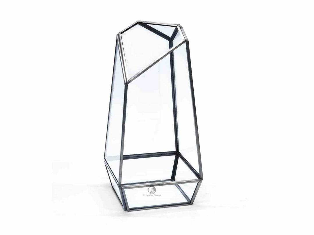 Open geometric glass container, perfect for terrariums or modern decor.