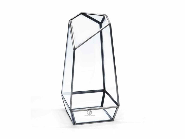 Open geometric glass container, perfect for terrariums or modern decor.